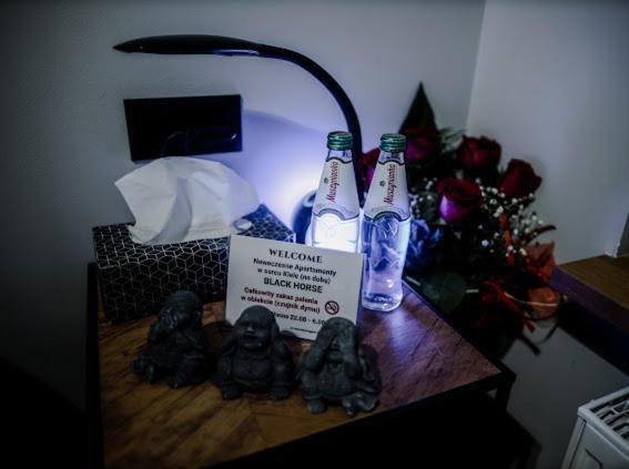 Premium Black Hors Centrum Scisle-etiuda Panoramiczna 2 -garaz Podziemny